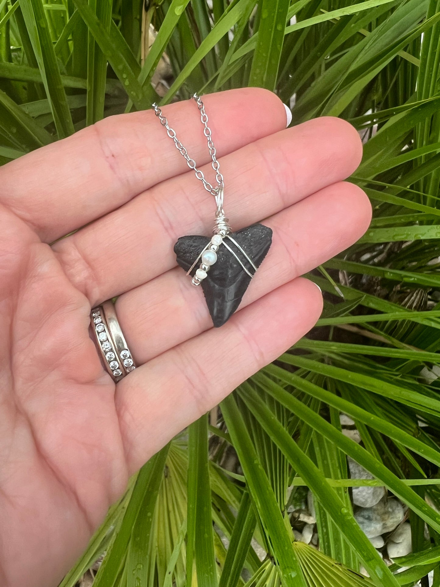 Bull Shark tooth necklace with freshwater pearls
