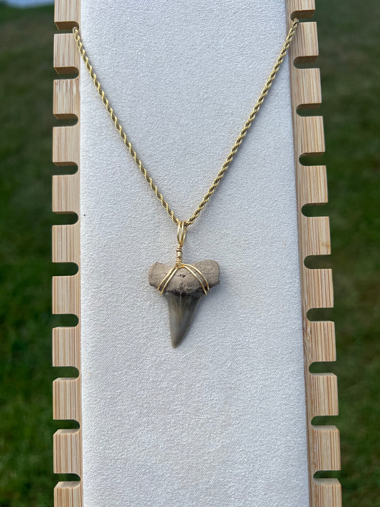 Mako Me Crazy - Shark Tooth Necklace