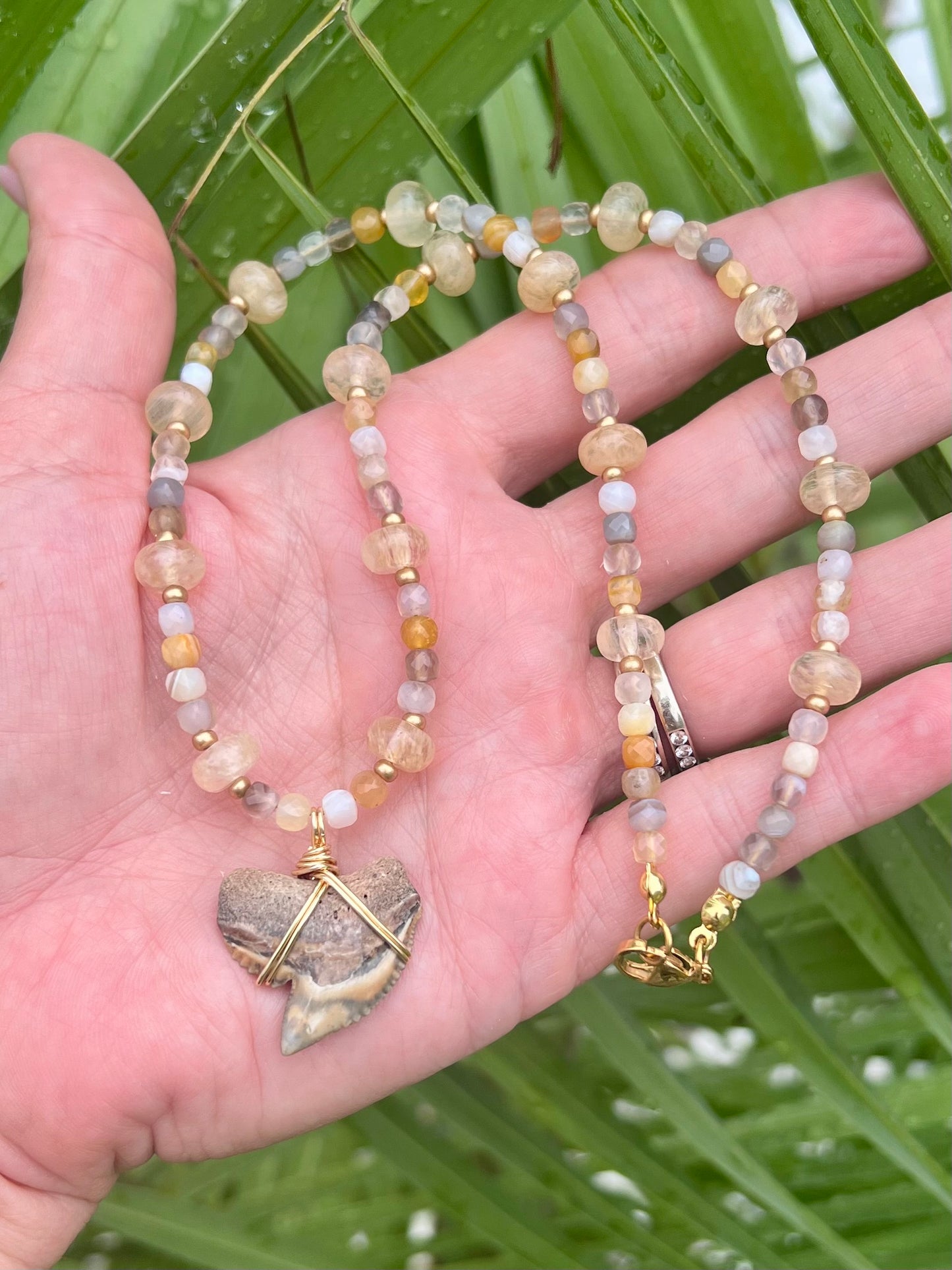 Very Rare Golden tie dye Tiger Shark tooth necklace with natural Botswana agate and gold rutilated quartz ￼