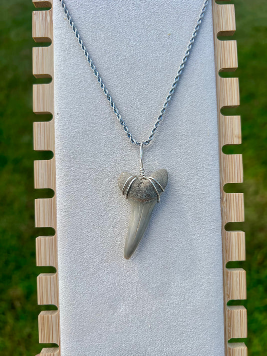 Islander- Fossilized Mako Shark Tooth Necklace