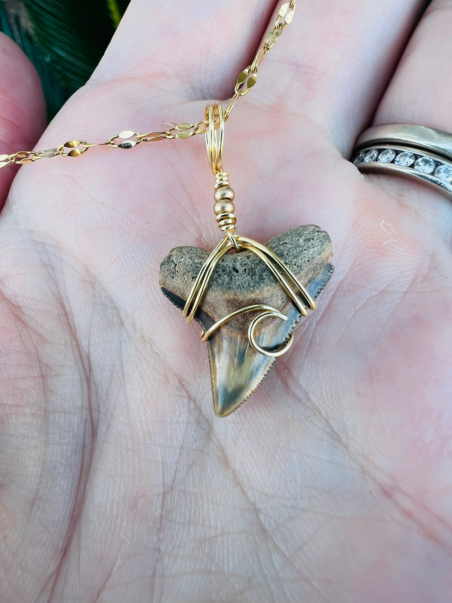 Seaside- Bull Shark tooth with wave design