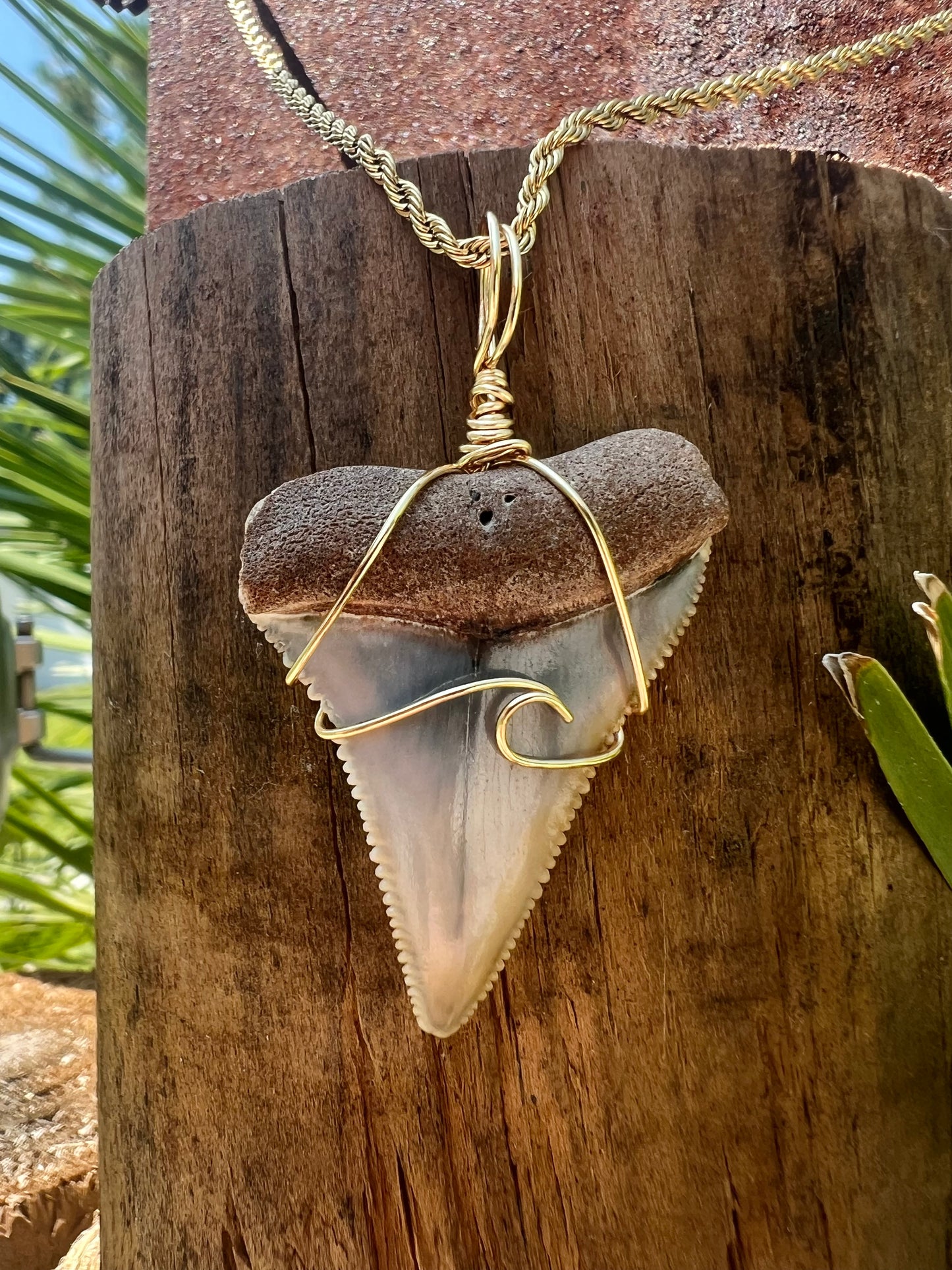 Crashing Waves- A RARE and gorgeous Great White