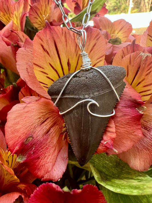 Chocolate Great White Shark Tooth Necklace- Silver