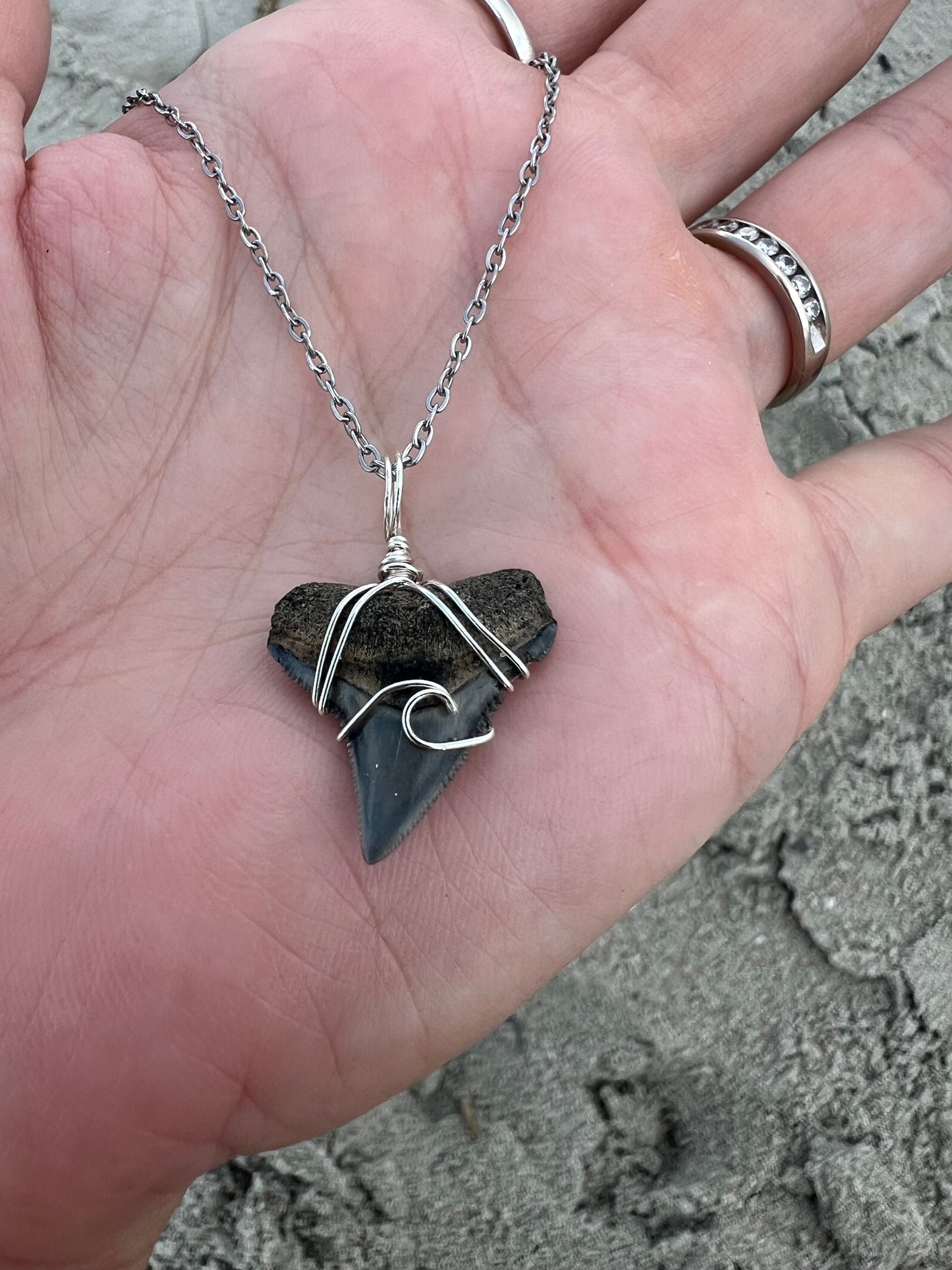 Seaside- Bull Shark Tooth + Wave Design