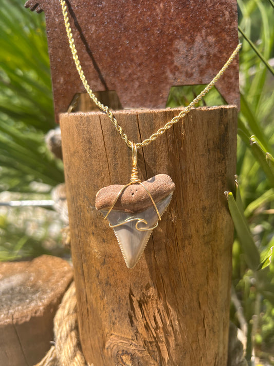 Crashing Waves- A RARE and gorgeous Great White