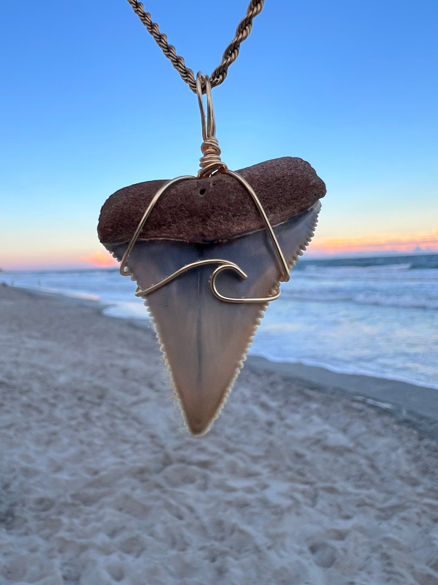 Crashing Waves- A RARE and gorgeous Great White