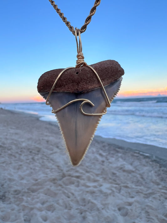 Crashing Waves- A RARE and gorgeous Great White