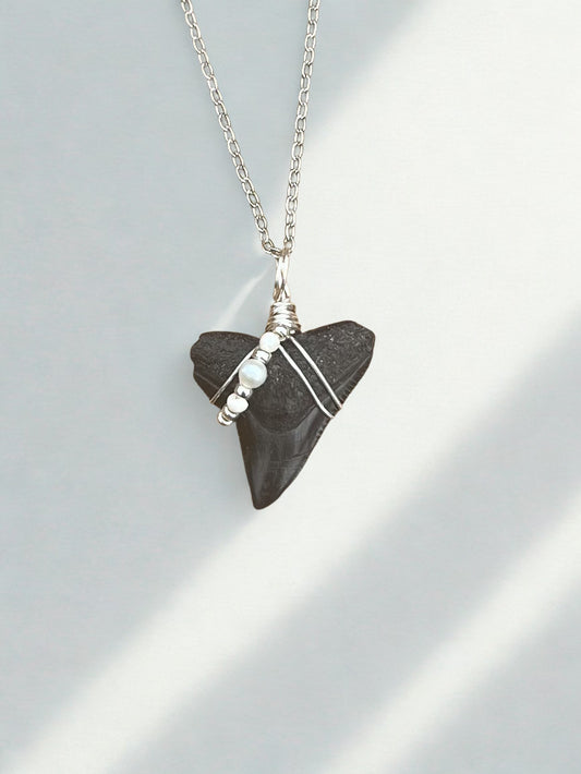 Bull Shark tooth necklace with freshwater pearls