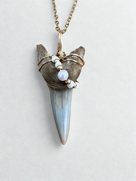 Shark tooth necklace with mini freshwater pearls