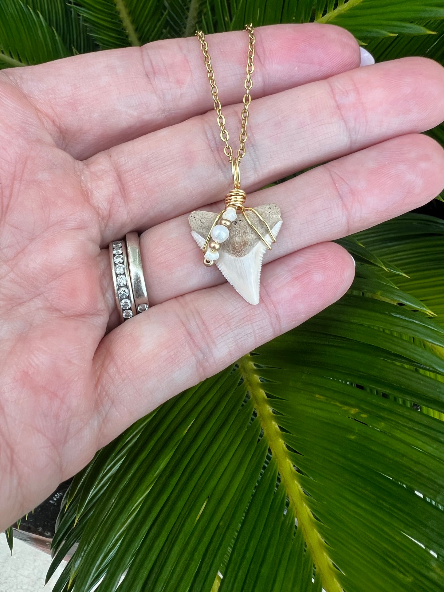 Cream Bull Shark tooth with pearls