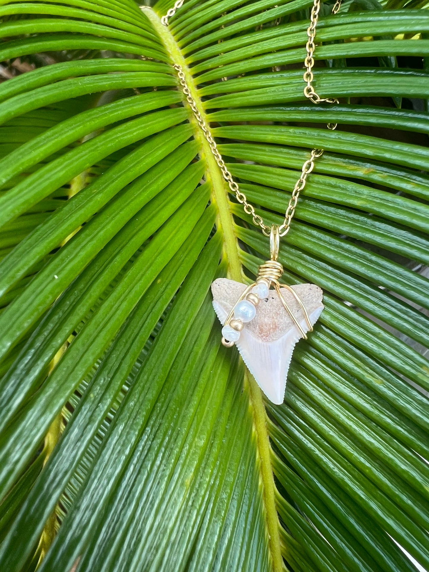 Cream Bull Shark tooth with pearls