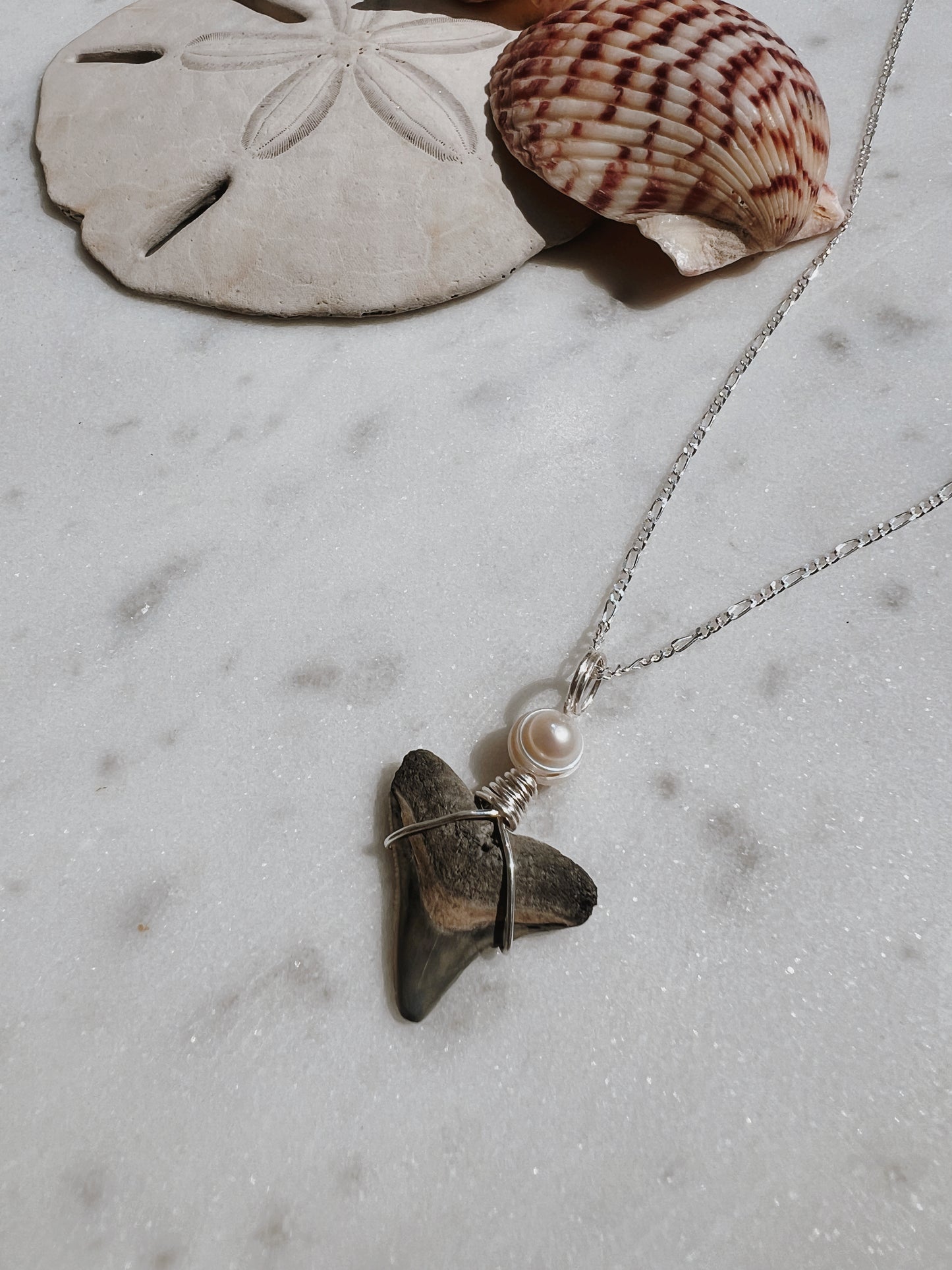 Salty Chic - Bull Shark Tooth + Pearl