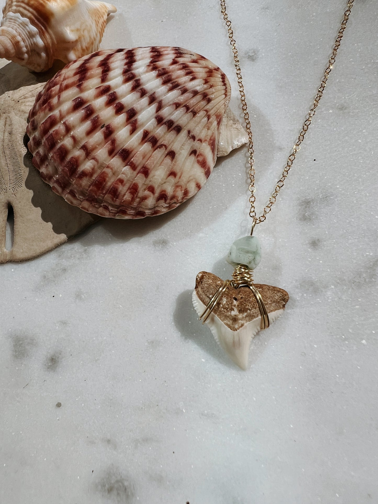 Oasis - Carolina Cream Bull Shark Tooth + Gemstone