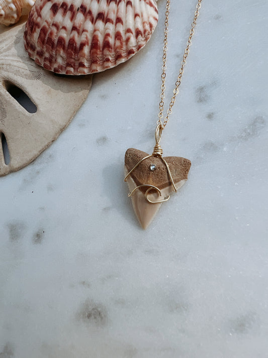 Coastal Dreams- Bull Shark Tooth + Crystal + Wave Design