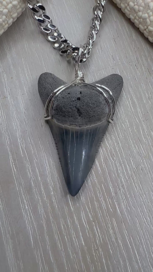 1.7” Rare Lower Great White