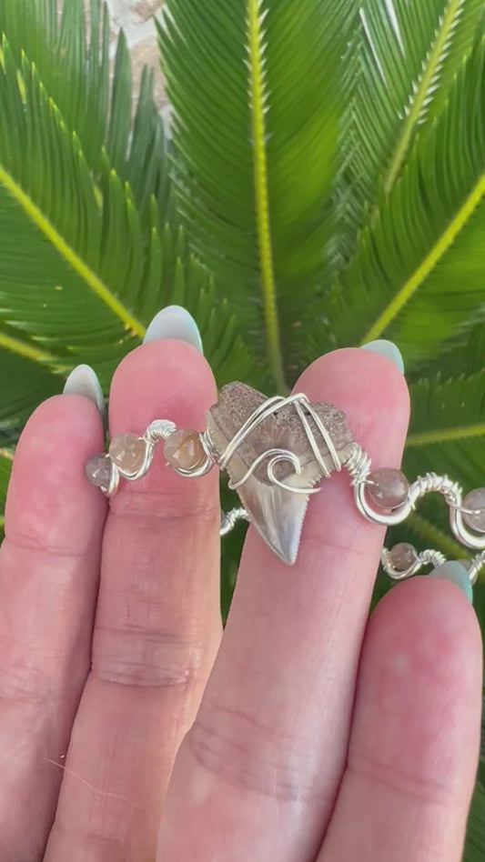 Coastal Cuffs-Shark tooth + moonstone silver cuff bracelet