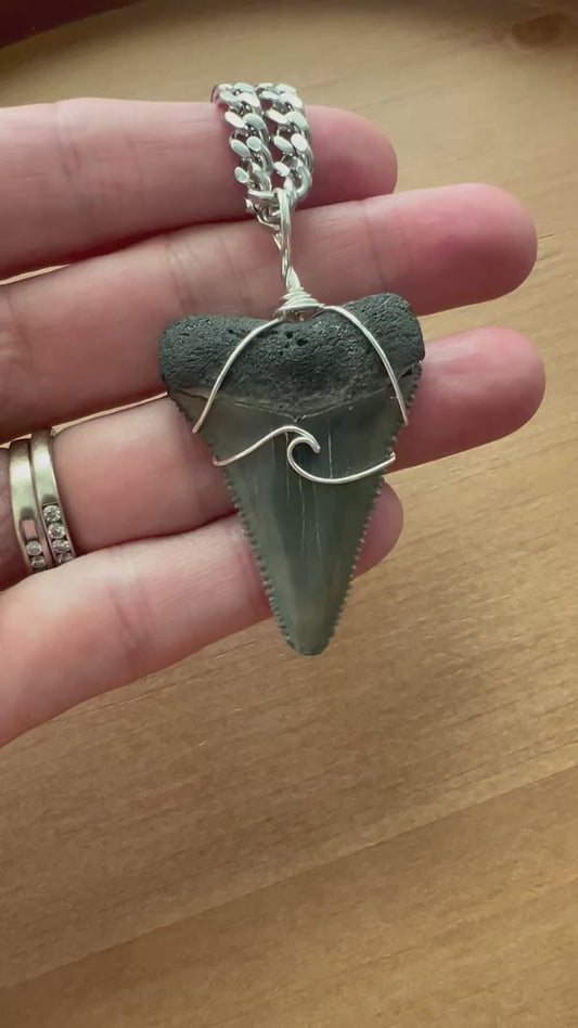 1.8” Stunning Great White with wave design