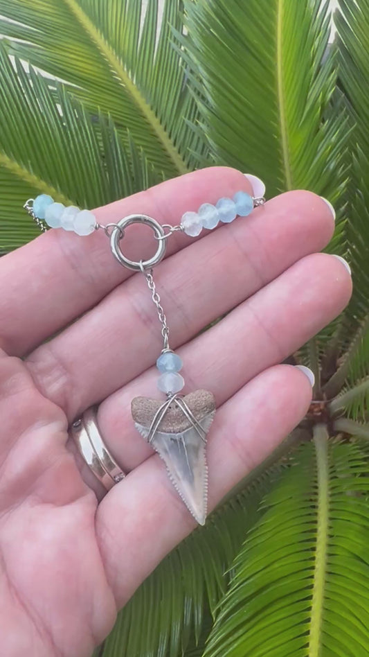 Aquamarine + Cream Great White Shark tooth necklace