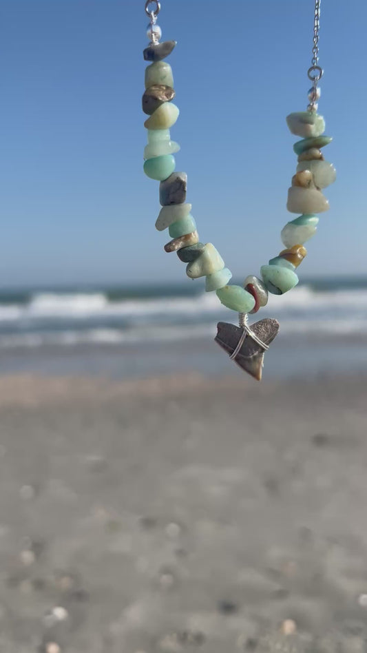 Aventurine + Bull Shark Tooth Necklace
