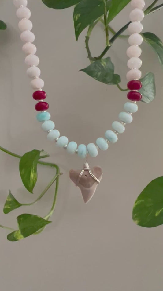 Americana Collection- Red, White, & Bulls- Coastal Carolina Bull Shark tooth necklace