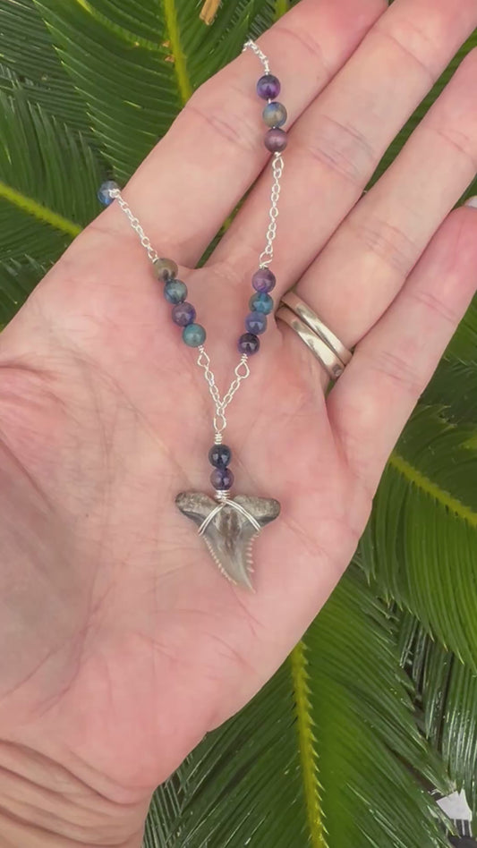 Aurora- Blue Galaxy Tiger Eye & Stunning Gray Hemipristis Shark Tooth Necklace