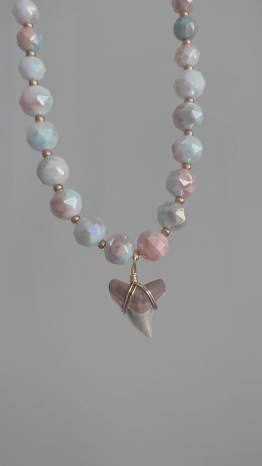Cotton Candy Cream Bull Shark Tooth Necklace