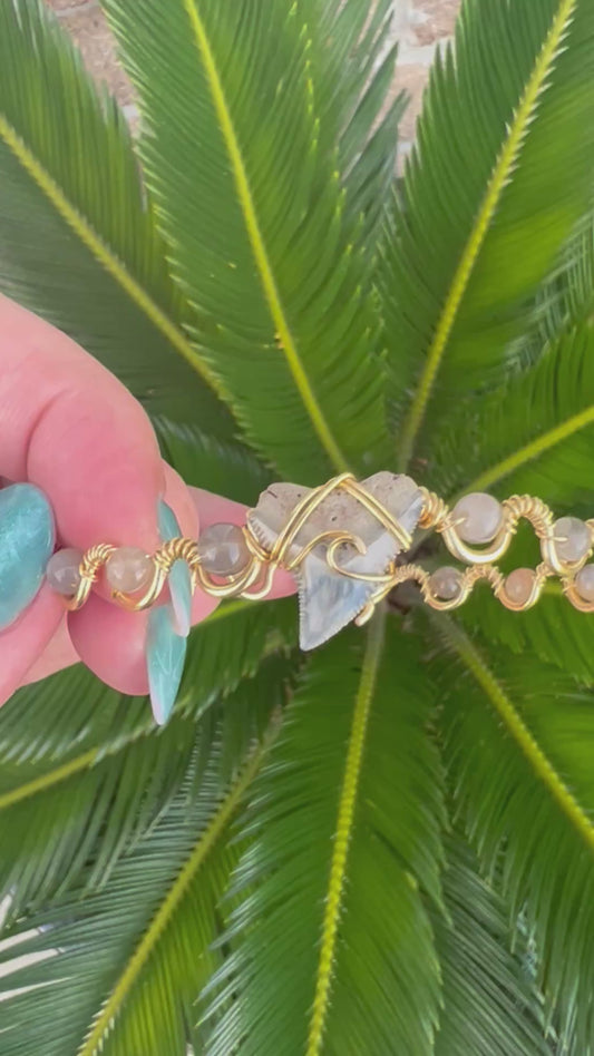 Coastal Cuffs- Shark tooth + moonstone gold cuff bracelet