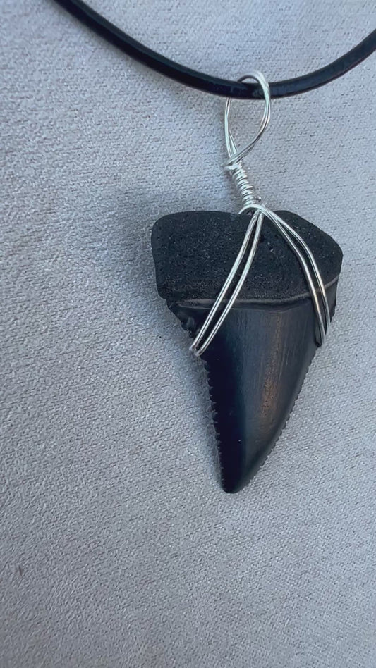 Ocean Master- 1.4” Great White