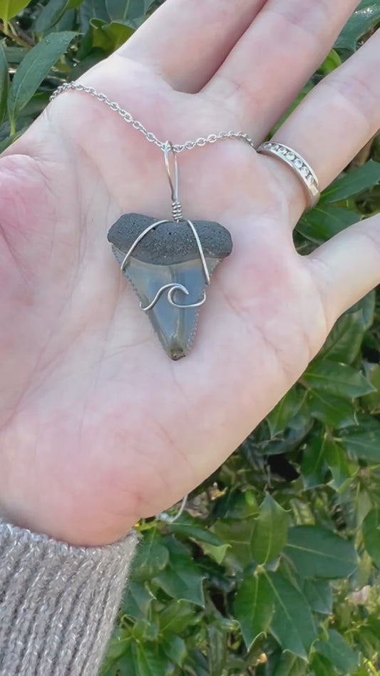 Making Waves- Great White